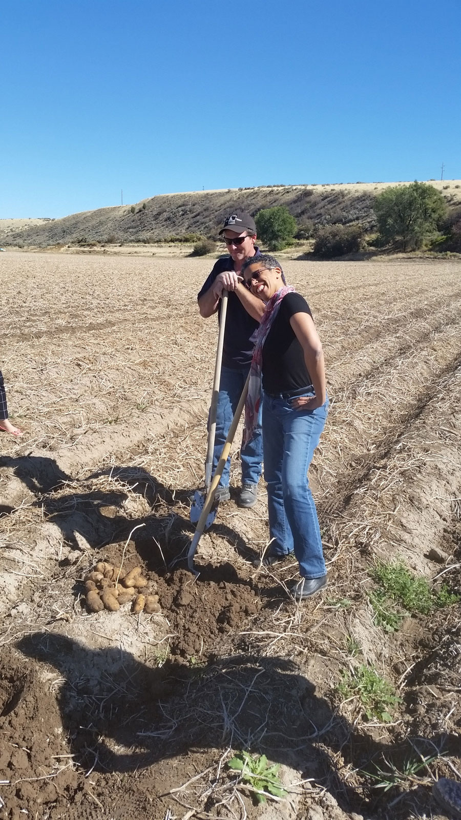 Jackie digging spuds with potato farmer James Hoff, Idaho Falls 2015 